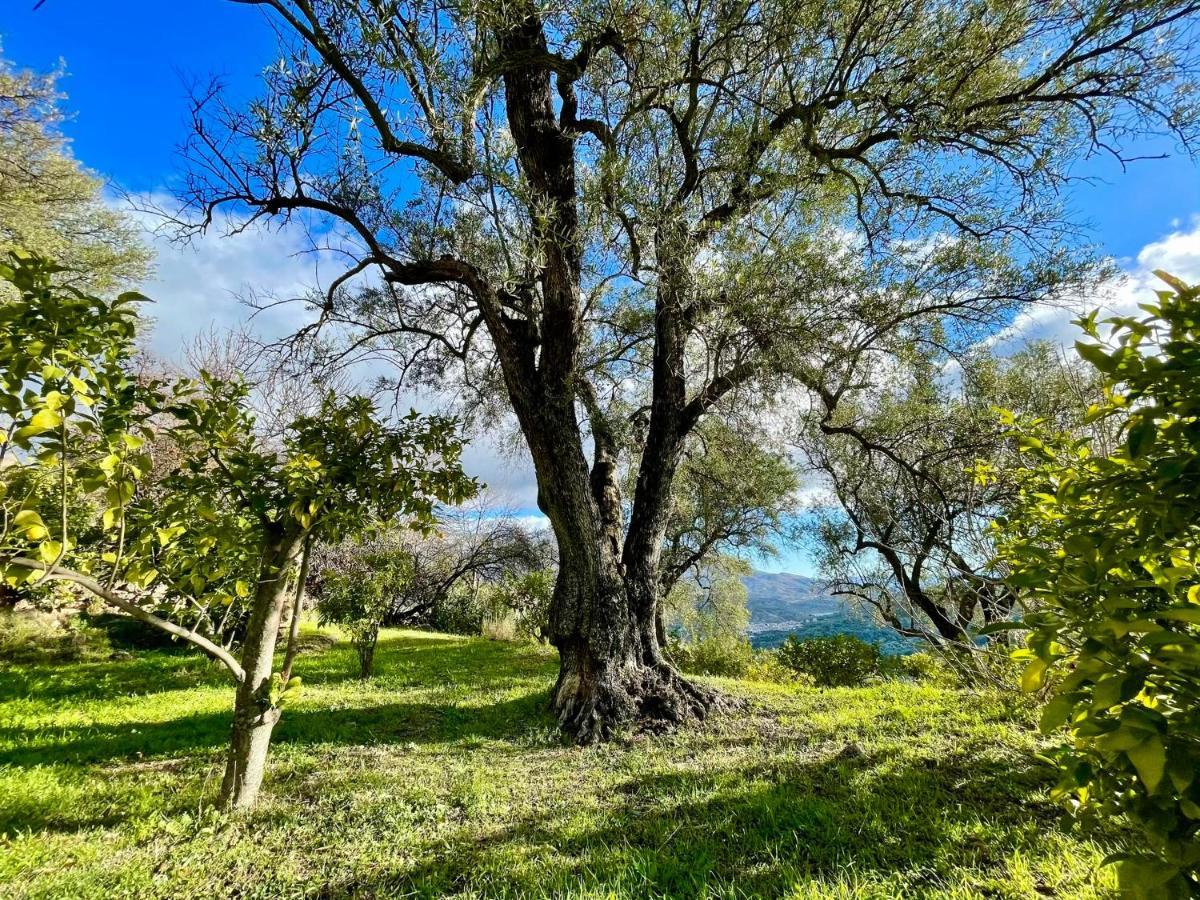 La Esperanza Granada Luxury Hacienda & Private Villa Saleres Exteriör bild